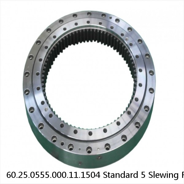 60.25.0555.000.11.1504 Standard 5 Slewing Ring Bearings