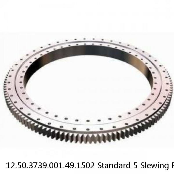 12.50.3739.001.49.1502 Standard 5 Slewing Ring Bearings