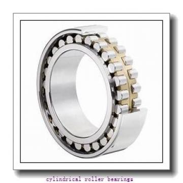 0.787 Inch | 20 Millimeter x 1.85 Inch | 47 Millimeter x 0.551 Inch | 14 Millimeter  CONSOLIDATED BEARING NU-204E C/4  Cylindrical Roller Bearings