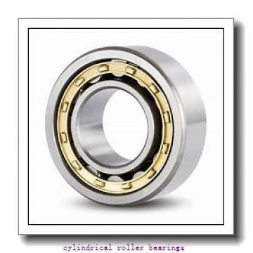 3.937 Inch | 100 Millimeter x 8.465 Inch | 215 Millimeter x 1.85 Inch | 47 Millimeter  CONSOLIDATED BEARING N-320  Cylindrical Roller Bearings