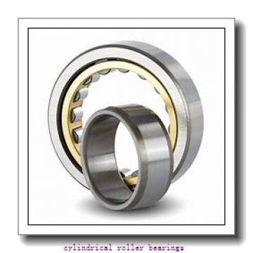 0.984 Inch | 25 Millimeter x 2.047 Inch | 52 Millimeter x 0.591 Inch | 15 Millimeter  CONSOLIDATED BEARING NU-205E M  Cylindrical Roller Bearings