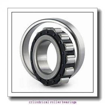 0.669 Inch | 17 Millimeter x 1.575 Inch | 40 Millimeter x 0.472 Inch | 12 Millimeter  CONSOLIDATED BEARING NU-203E M C/3  Cylindrical Roller Bearings