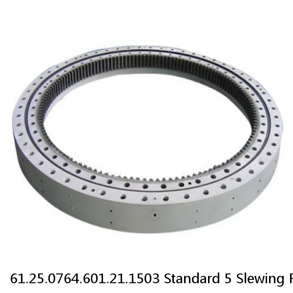 61.25.0764.601.21.1503 Standard 5 Slewing Ring Bearings