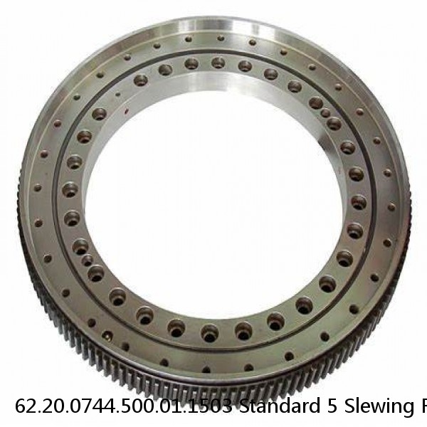 62.20.0744.500.01.1503 Standard 5 Slewing Ring Bearings