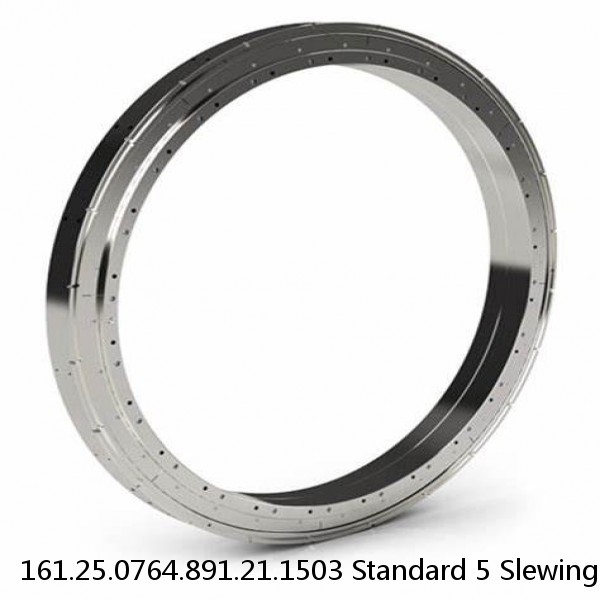 161.25.0764.891.21.1503 Standard 5 Slewing Ring Bearings